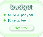 budget ecommerce plan