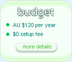 ecommerce budget